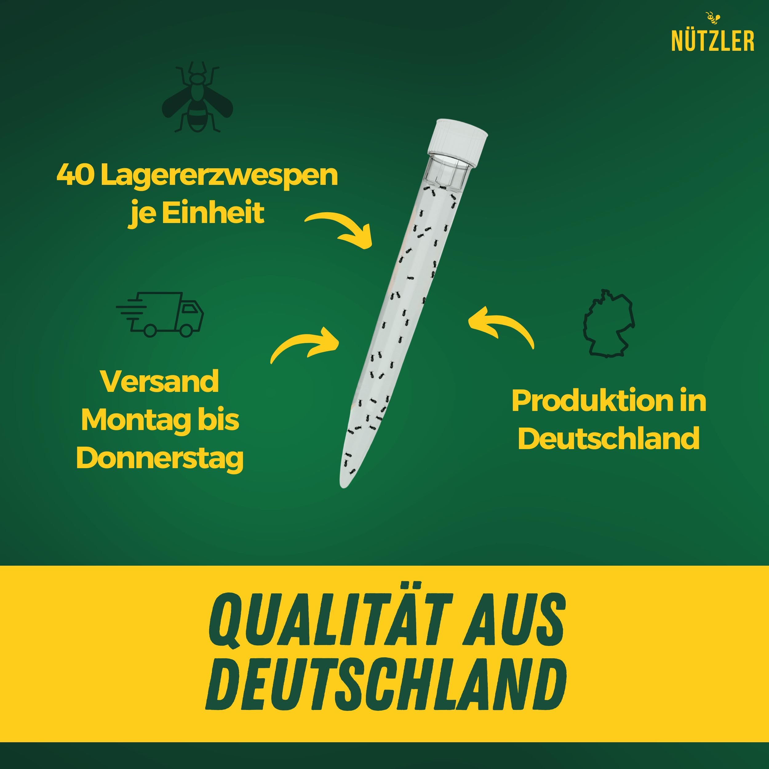 Lagererzwespen - 40 Nützlinge - Gegen Brotkäfer, Kornkäfer, Maiskäfer, Reiskäfer, Getreidekapuziner uvm - Wirkt NICHT gegen Speckkäfer & Reismehlkäfer - Zwei Lagererzwespen Arten (3 Stück)