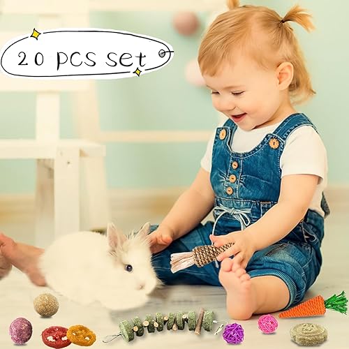 Grddaef 20 PCS Bunny Chew Toys for Teeth, Natural Rabbit Toys Apple Wood Grass Timothy Sticks Chew and Treat for Guinea Pigs Hamster Chinchillas(20 Pcs)