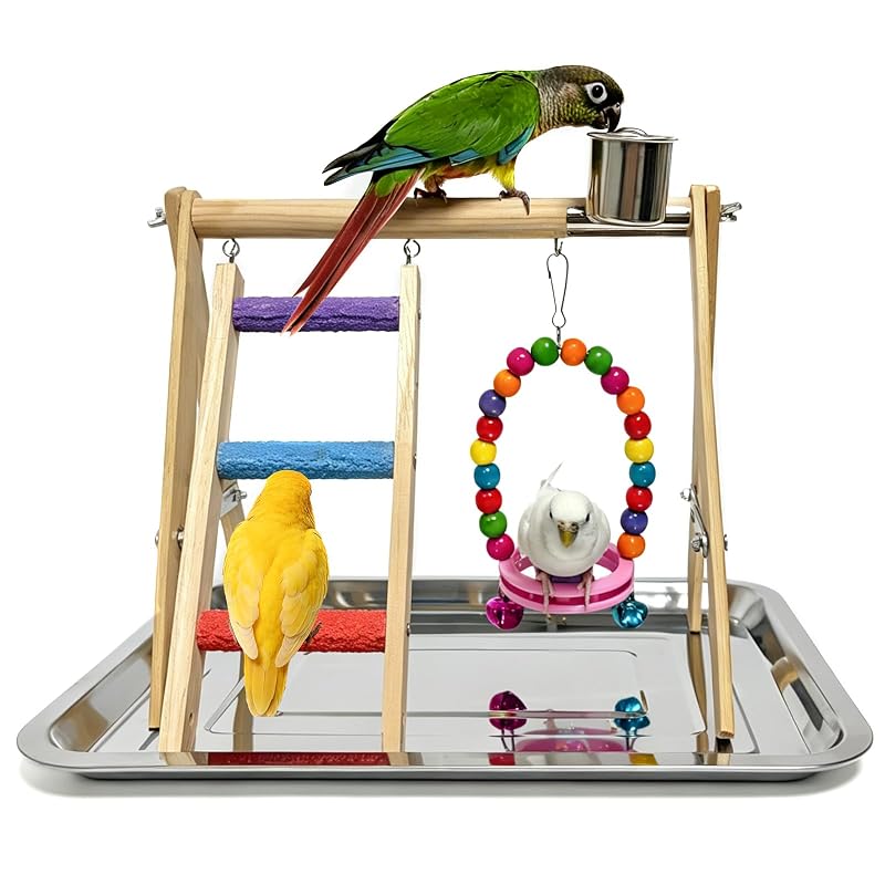 Playground para Aves com Poleiro, Balanço e Bandeja de Aço Inoxidável HZDZ LCPAW