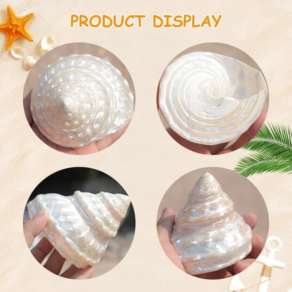 Shell, Naturalne muszle morskie, muszla z pereł oceanicznych o średnicy 6-11 cm(7cm)