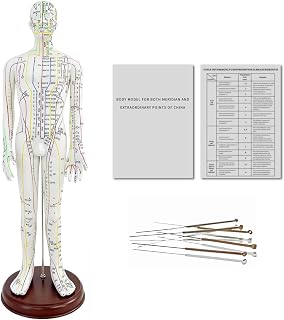 1/3 Life Size Human Acupuncture Model, 21'' Human Acupuncture Point Mannequin with Acupuncture Point Location Instructions Used for Needle Insertion Practice