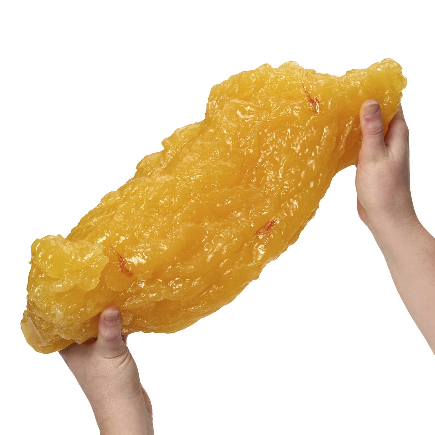 Nasco WA04313 Human Body Fat Replica, 5 lb.