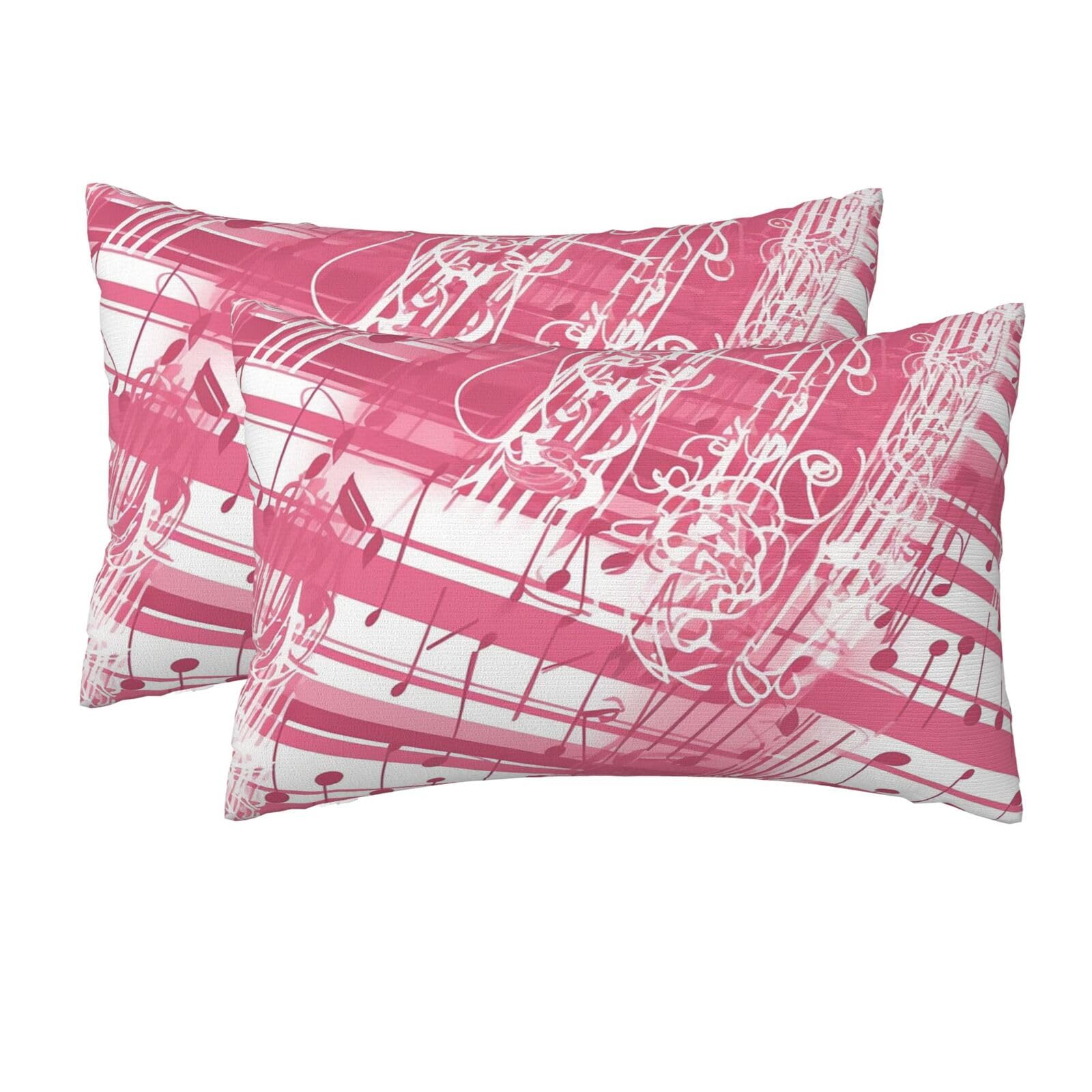2 Pack Queen Size Pillow Cases for Hair and Skin Soft Breathable Pillow Case Covers with Hidden Zipper Piano Music Notes Pillowcase 20x30 Inches Pillow Cover for Sleeping Gift