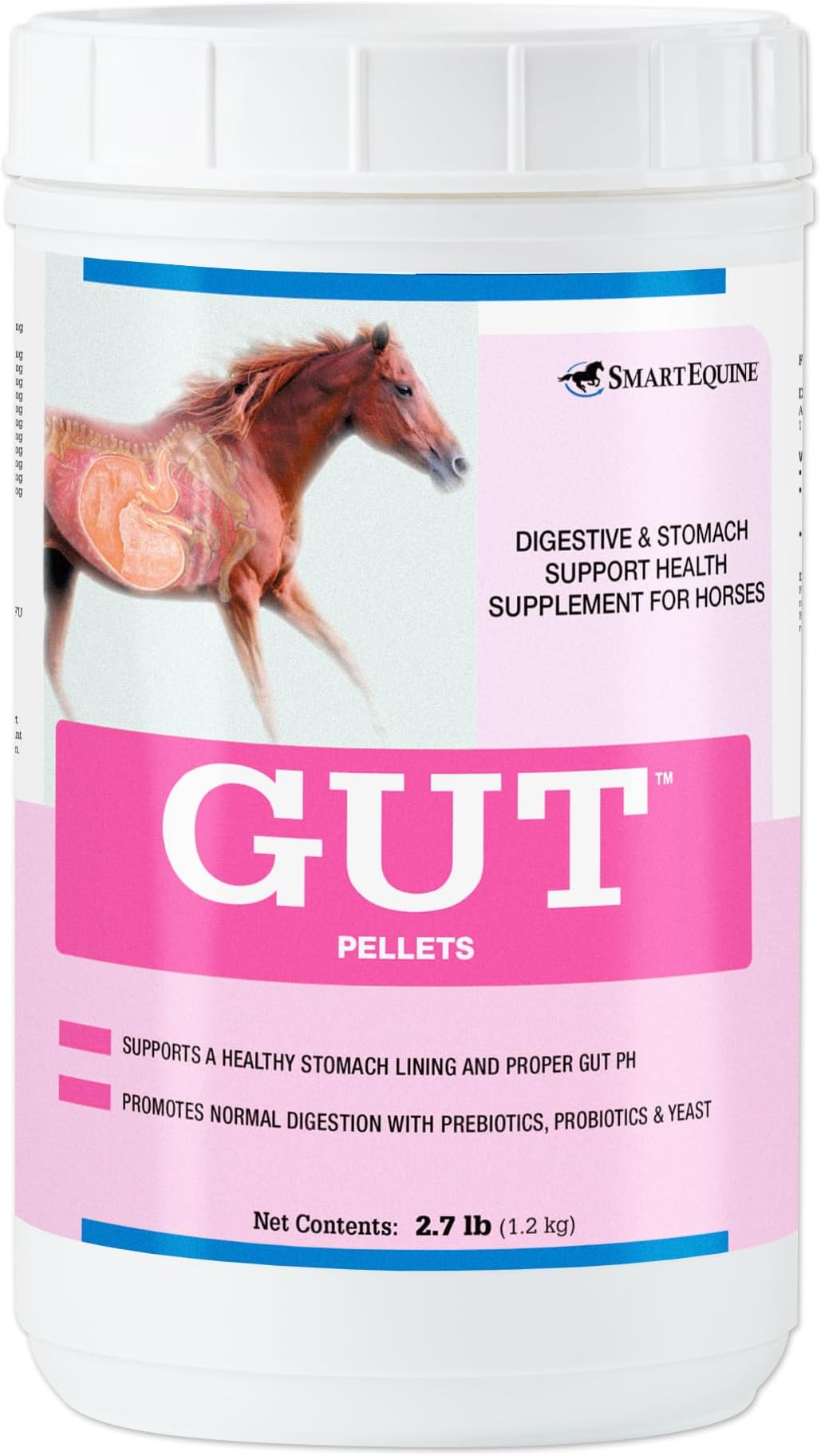 Gut™ Pellets | Healthy Gut Probiotics for Horses | Equine Prebiotic & Probiotic | Horse Stomach Supplement | 2.7 lb