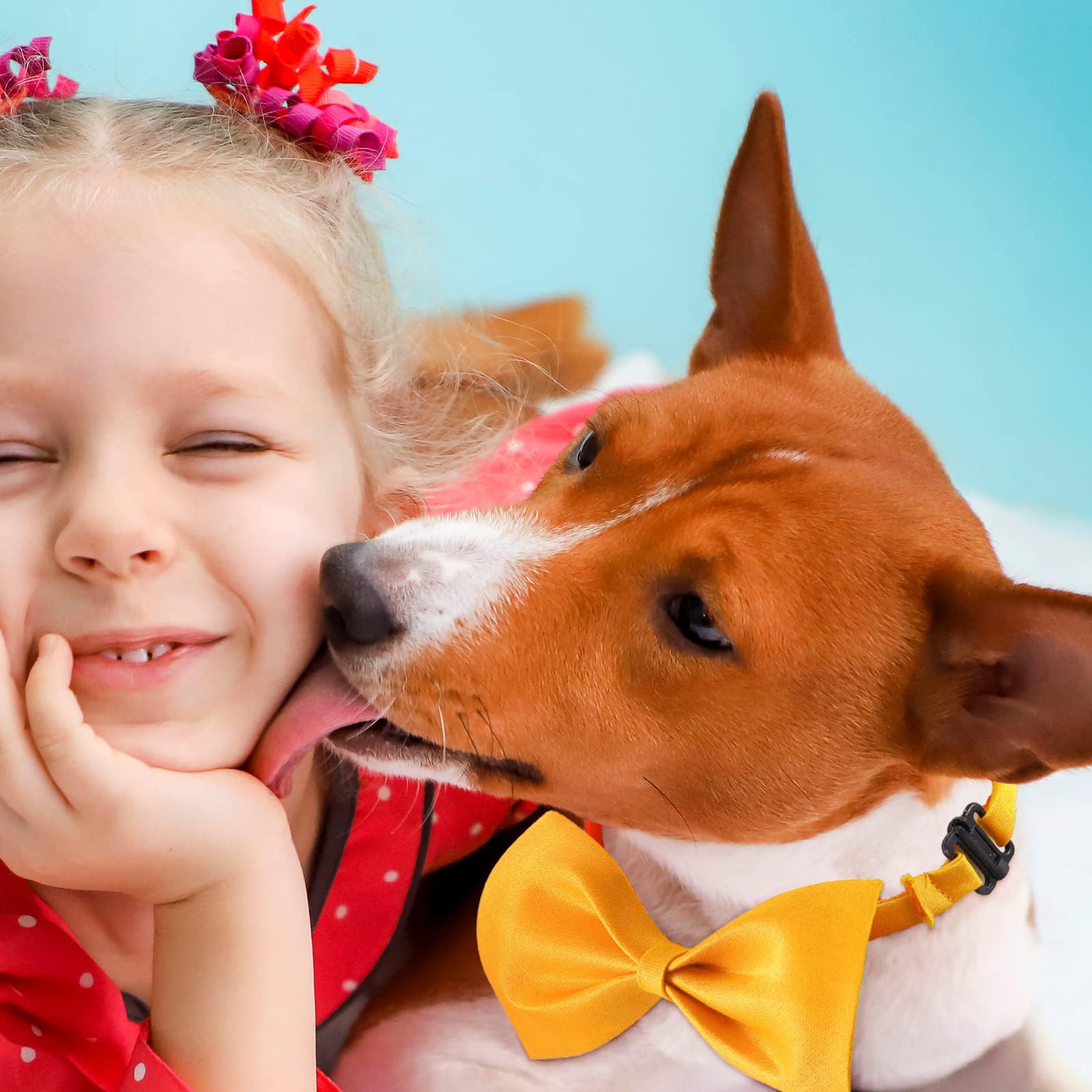 Potchen 200 Stück große Hunde-Fliegen mit verstellbarem Halsband, für Welpen, Katzen, Hunde, Haustierpflege-Zubehör für kleine, mittelgroße Mädchen, Jungen, Urlaub, Festival, Hochzeit, Geburtstag