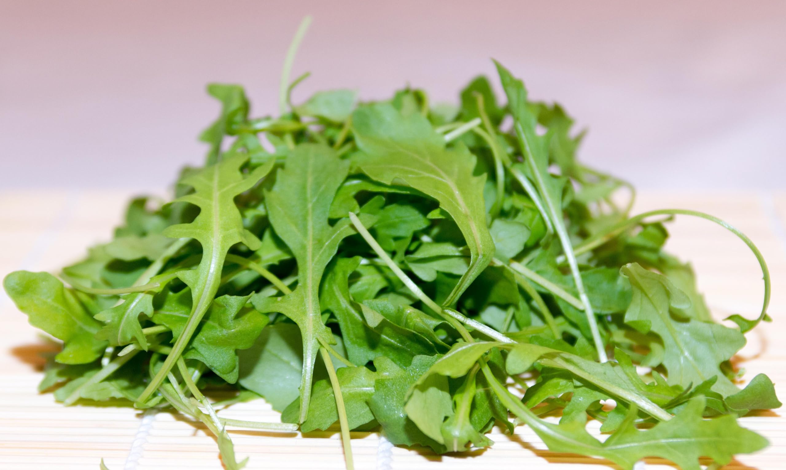Rucola (Rucola coltivata) Samen. Salatrauke, Senfraute (20000 Samen = 40,0g)