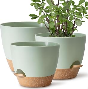 Patio, Lawn & Garden