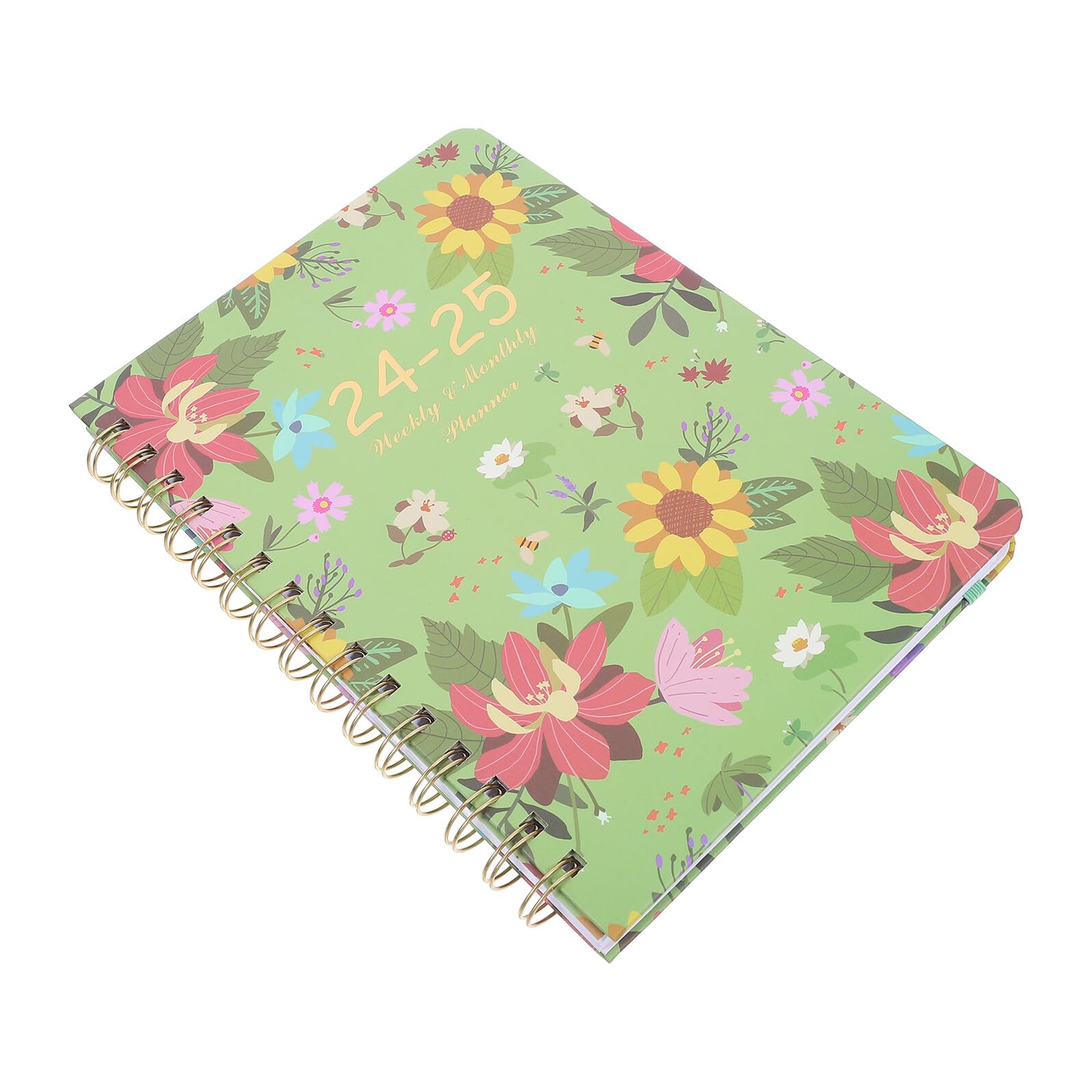 Alipis Agenda Cuaderno Libreta Planificador Anual Con Diseño De Dragón Planificador De Citas De Horarios Semanal Y Mensual Calendario
