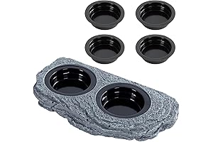 Magnetic Gecko Ledge: The Elevated Reptile Dining Experience