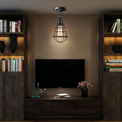 Miniatura 7 de Apliques de pared de granja, paquete de 2 lámparas de pared vintage, apliques de pared industriales de jaula de alambre, apliques modernos de pared,