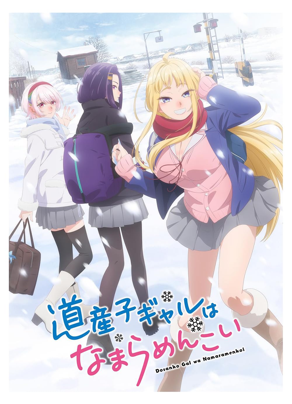 【DVD】道産子ギャルはなまらめんこい　全巻セット　※レンタルアップ品 Amazon.co.jp: 道産子ギャルはなまらめんこい (2024)全12巻BOX『 DVD