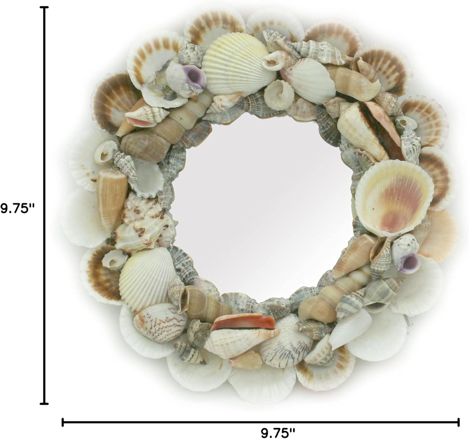 Contrast Natural Seashell Frame Small Round Wall Mirror 10 Inch Diameter, Multicolored, One Size