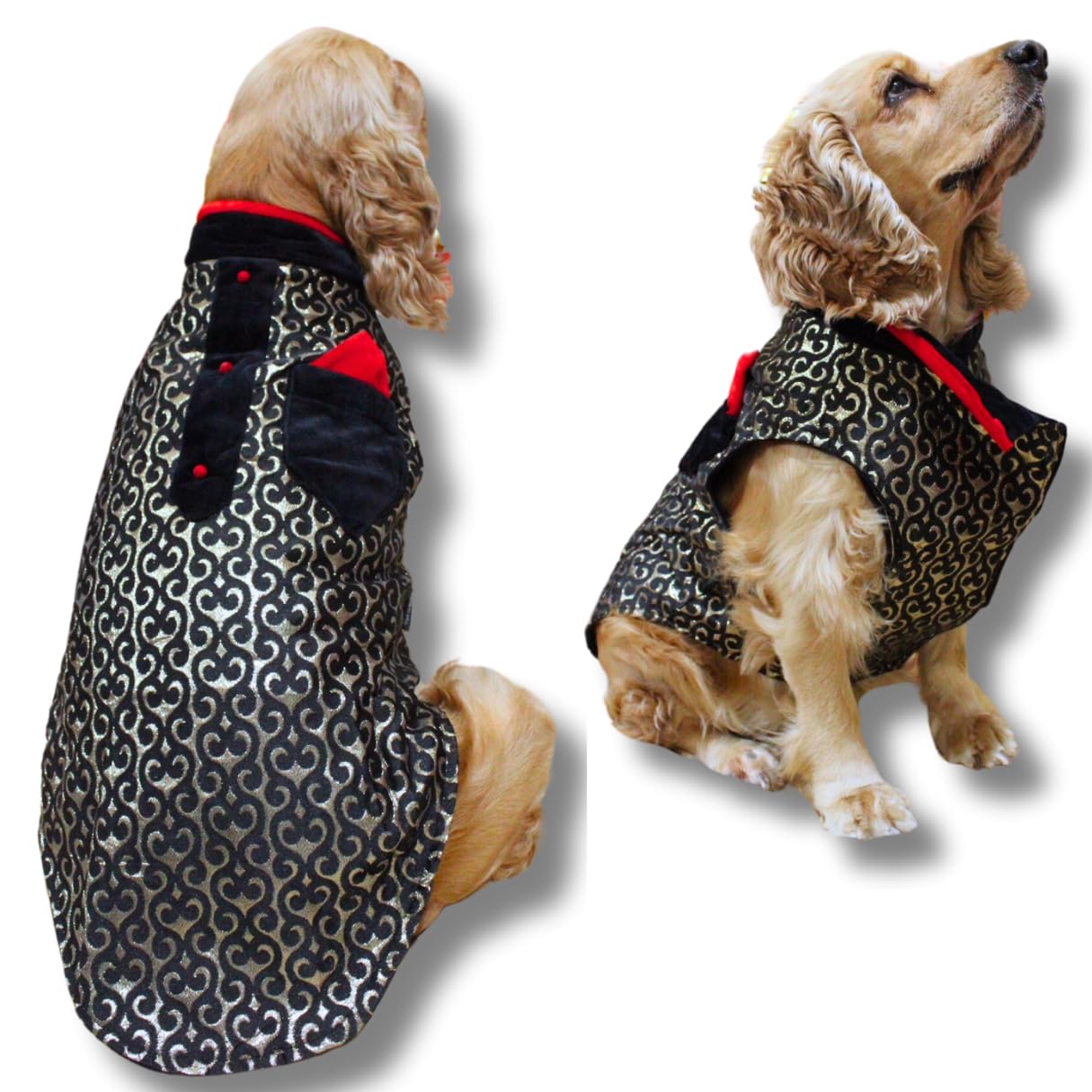 See full amazon price history chart for Kitty & The Woof Gang Black & Gold Sherwani - Red & Black collar and pocket, soft Black lining, Red Velvet buttons | Dog dress for small medium large dog male female XL-18 Inch Kitty & The Woof Gang Black & Gold Sherwani - Red & Black collar and pocket, soft Black lining, Red Velvet buttons | Dog dress for small medium large dog male female XL-18 Inch (B08X6NHM8H) Amazon Price History, Amazon Price Tracker