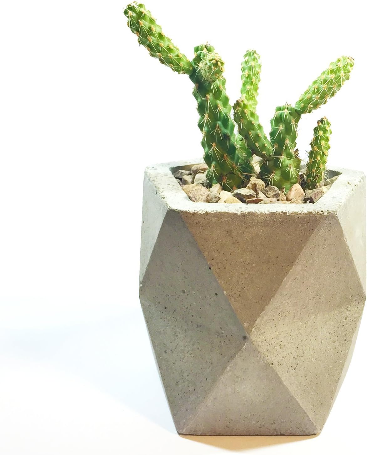Geometric Concrete Planter