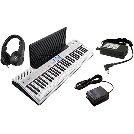 大特価 61鍵盤 ローランド 専用ヘッドホン付きroland Keyboard P Go 61 Go Piano 基本セット キーボード デジタル楽器 Www Ksc Kcf Org