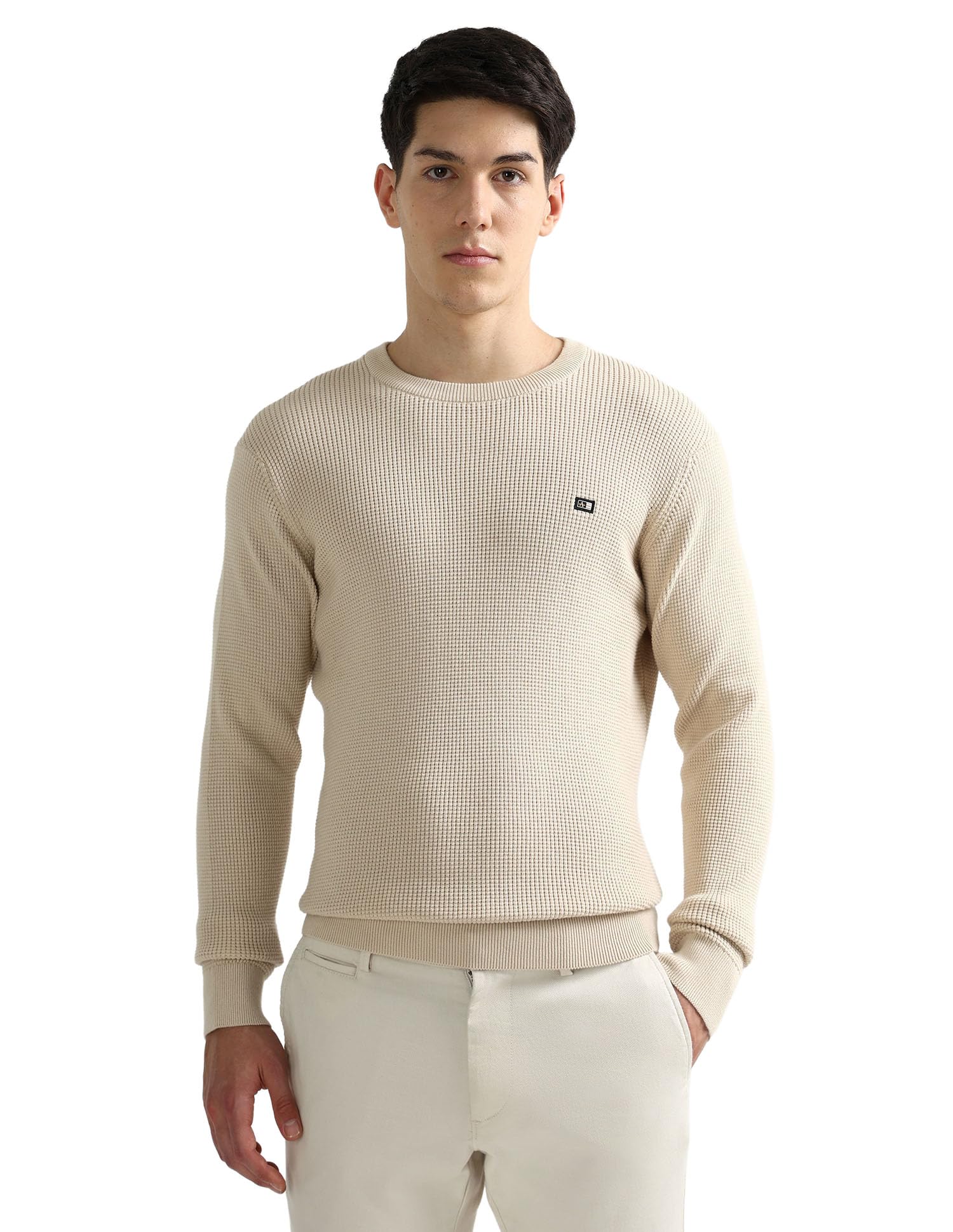 arrow sports Arrow Sport Men's Textured Regular Fit Sweater-picture-18