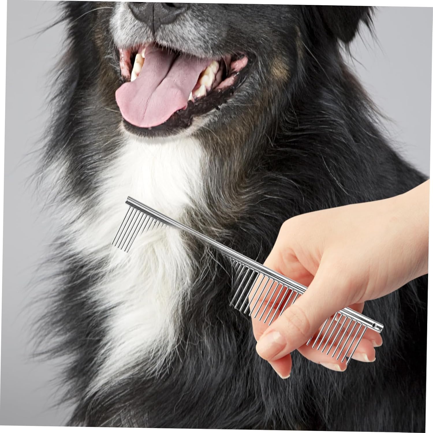 Toyvian 1set Professional Pet Grooming Scissors Kit Pet Hair Scissors for Dogs Cats Includes and Case Lightweight Easy to Use for Home Grooming