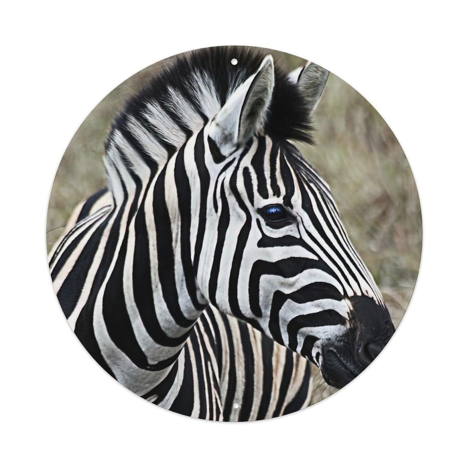 Zebras Wildlife Two Fighting Zebras Metal Tin Sign