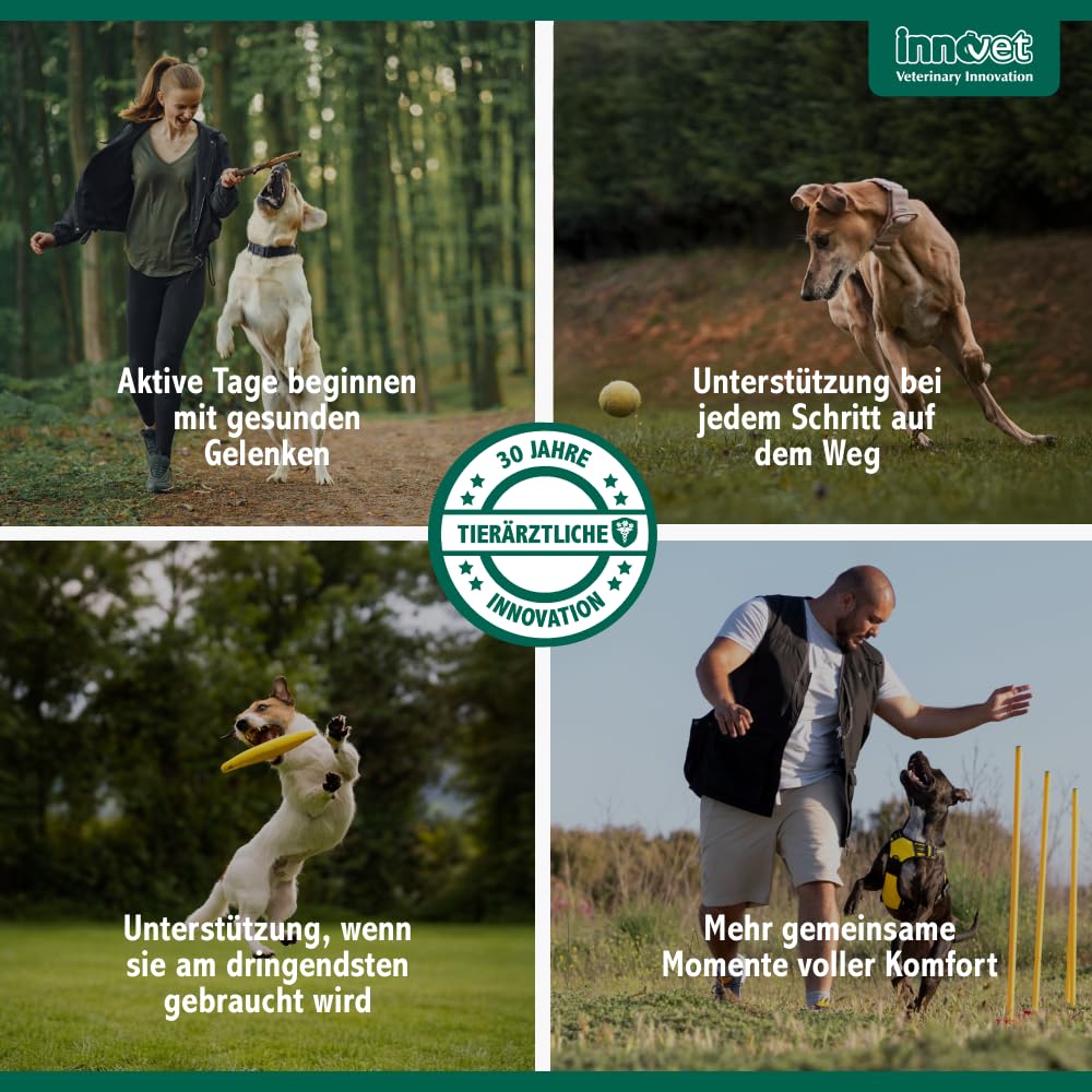 Condrostress Mobility Soft Chews für Gelenkunterstützung bei Hunden, 90 St. | Für Knorpelstoffwechsel & Beweglichkeit, Mit Eierschalenmembran, Boswellia Serrata & Vitamin C + E, Erwachsene & Senior Hunde