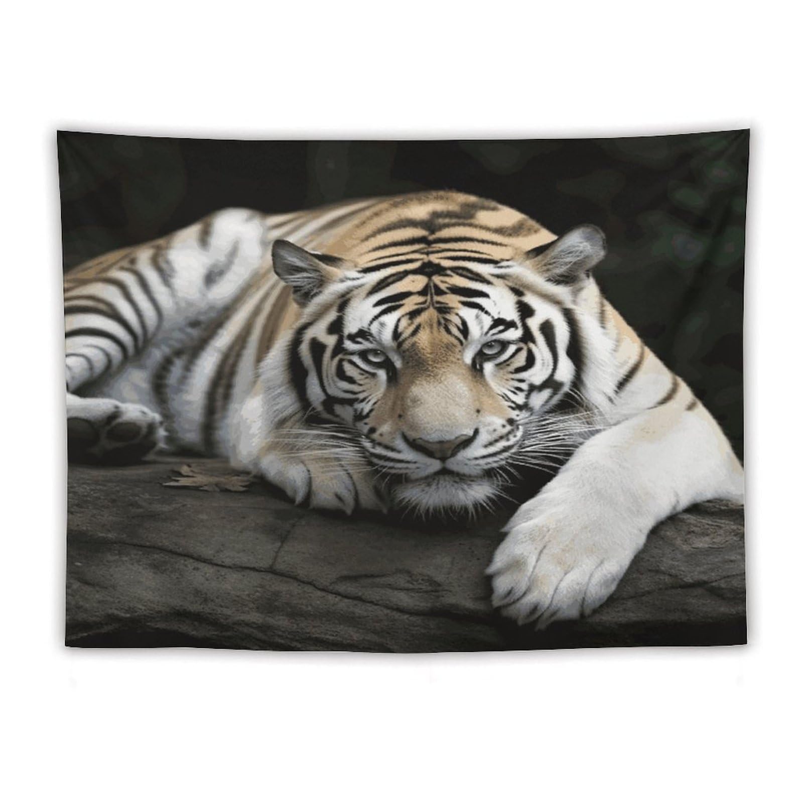 LDGSUPH Tiger Lie On Rock Tapestry Wall Hanging Decor Anti-fading Aesthetic Wall Tapestries Fashion Wall Blanket Decor Modern Wall Art Tapestry for Bedroom Home Decor 60"x80"