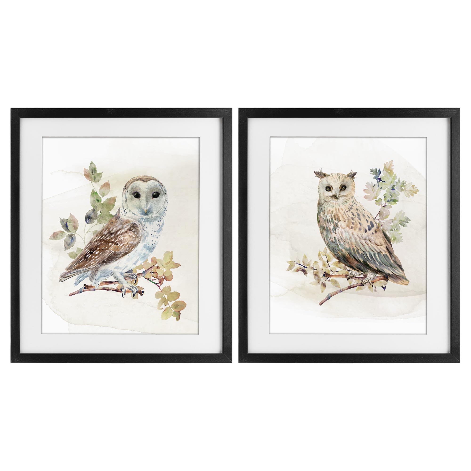 Stupell Industries 'Owls Perched in Foliage', 2pc Framed Print Under Glass Set, Black, 13 x 16 Inches, Easy to Hang and Sturdy, Made in USA, by CAD Designs
