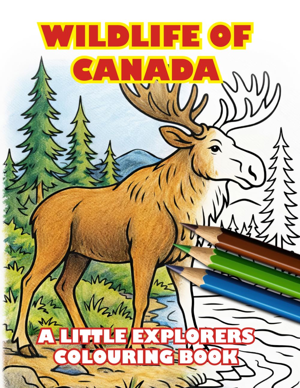 Wildlife of Canada Colouring Book
