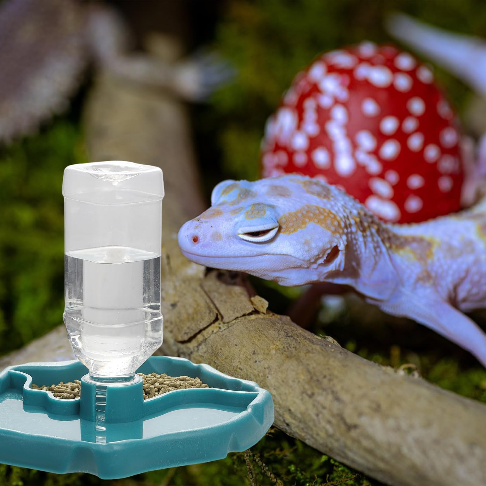 Distributore Di Acqua Per Rettili, Ciotola D'acqua Per Tartarughe, Abbeveratoio Per Mangiatoia 2 In 1 Ciotola Di Rettili, Adatta Per L'alimentazione Di Piccoli Rettili Come Tartarughe, Lucertole