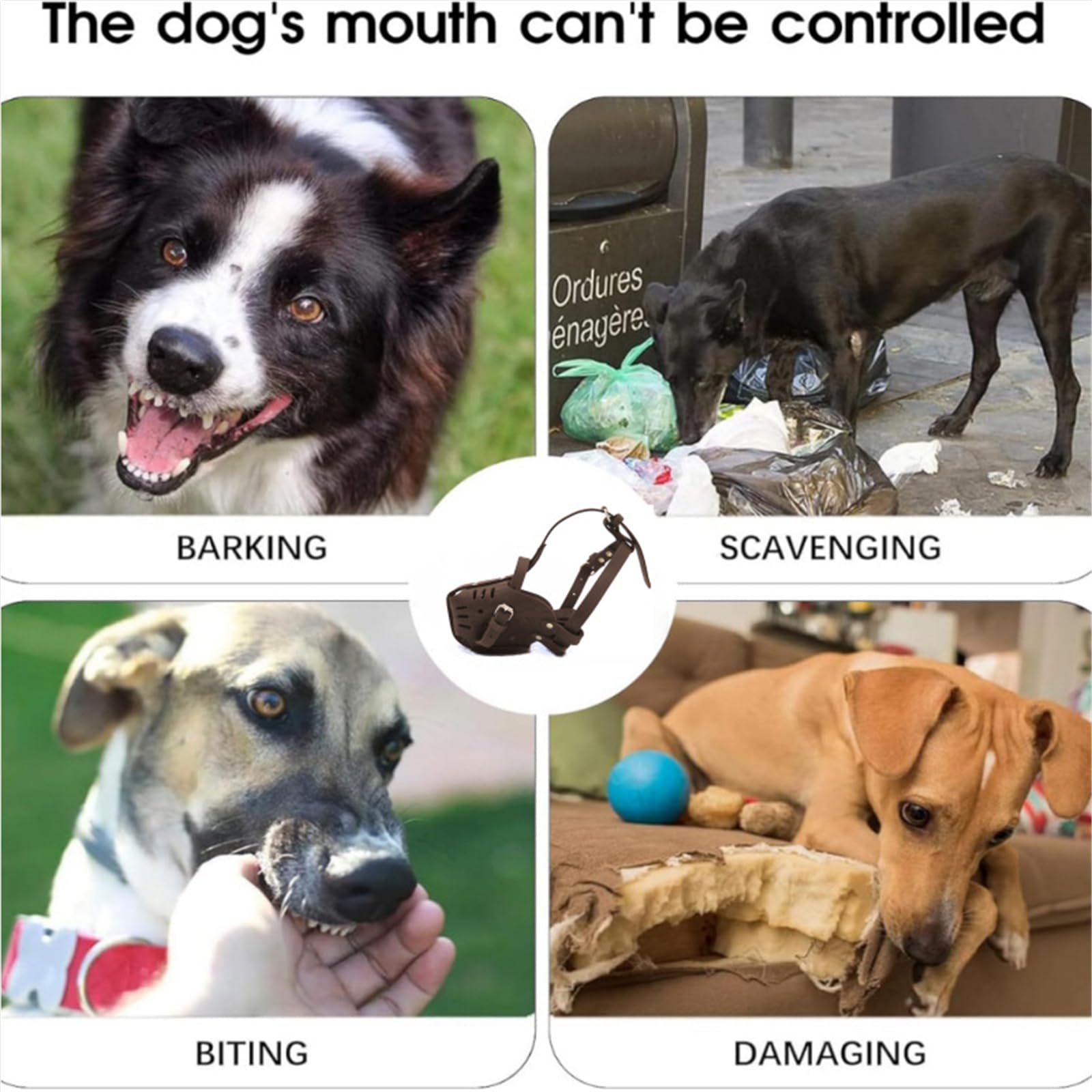 Museruola per cani controllo in pelle, muso, Black L