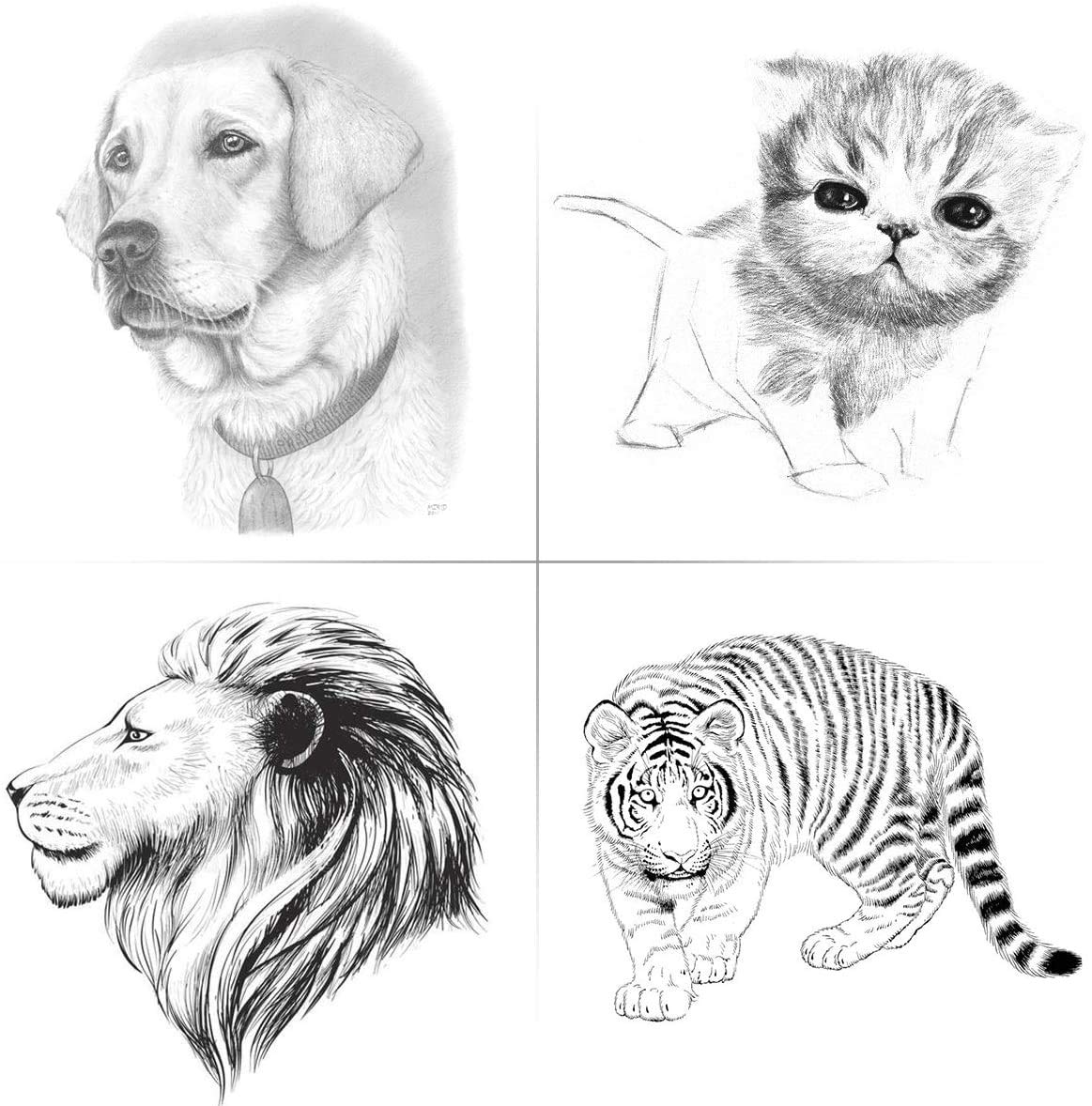 Matite di Disegno Artistico, Ulifeme 50 Pezzi Set da Matita Professionale per Disegni di Grafite e Carboncino, Kit Strumenti Disegno Fornire a Artista, Studenti & Principianti, Regalo Bambini e Adulti