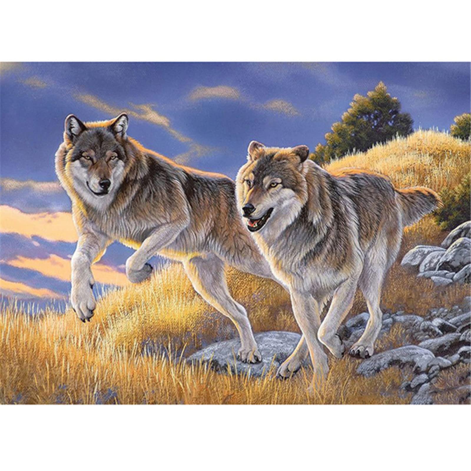 NAIMOER Wolf Diamond Painting Kits voor volwassenen
