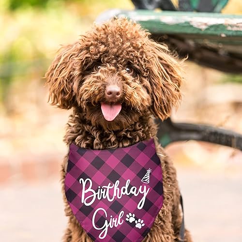 Miniatura 3 de Pañuelos de cumpleaños para niña, para perro, cumpleaños, niña, feliz cumpleaños, bandana para niñas, accesorios de fotos, suministros de cumpleaños