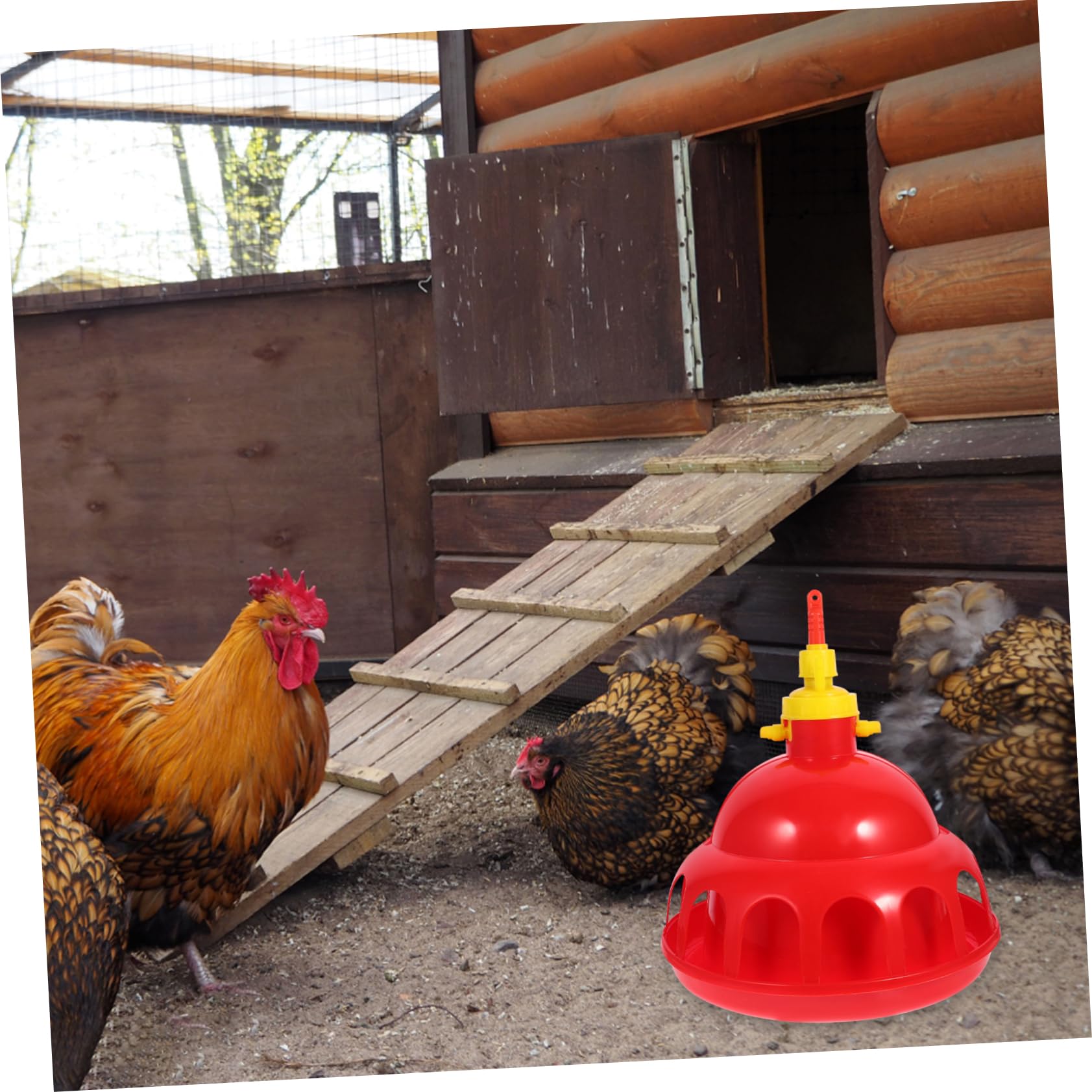 POPETPOP Bebedero Automático para Pajaros Bebedero para Gallinas Sistema De Doméstico y