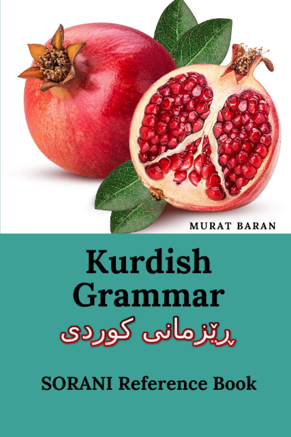 Kurdish Grammar ڕێزمانی کورد: SORANI Reference Book
