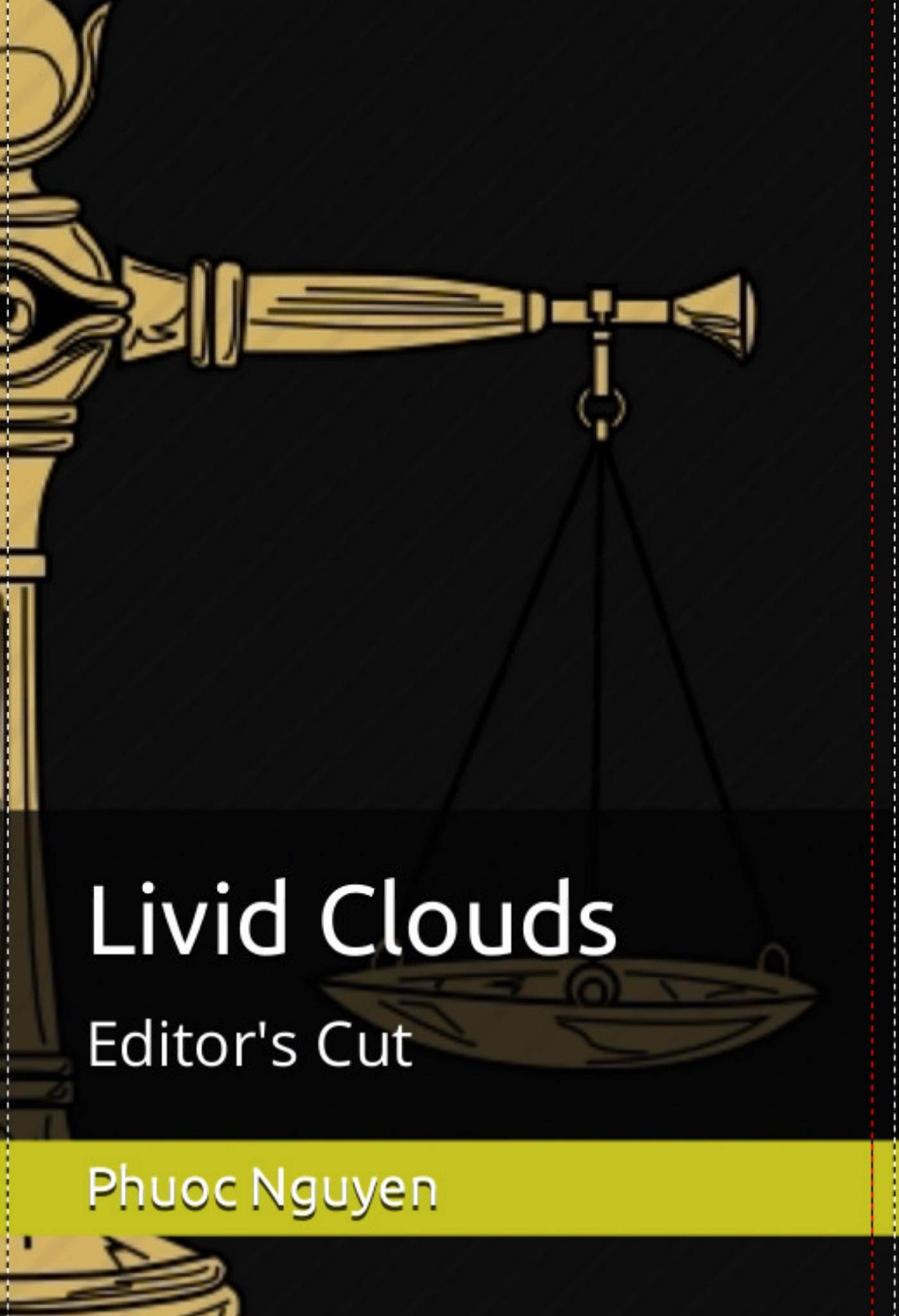 StickieArt Biplane Wall Stickers, Home Decoration DIY Removable Decals for Living Room Bedroom, Medium, 50 x 70 cm, STA-117