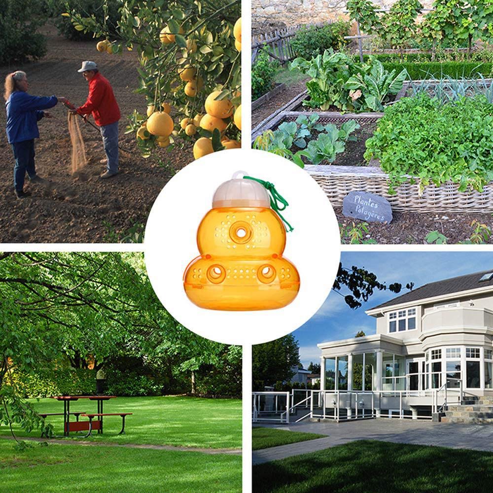 ghujil Trap to Hang to Attract Wasps, and Bees Safe and Nonnoxic, 5, 6 Pack Buy