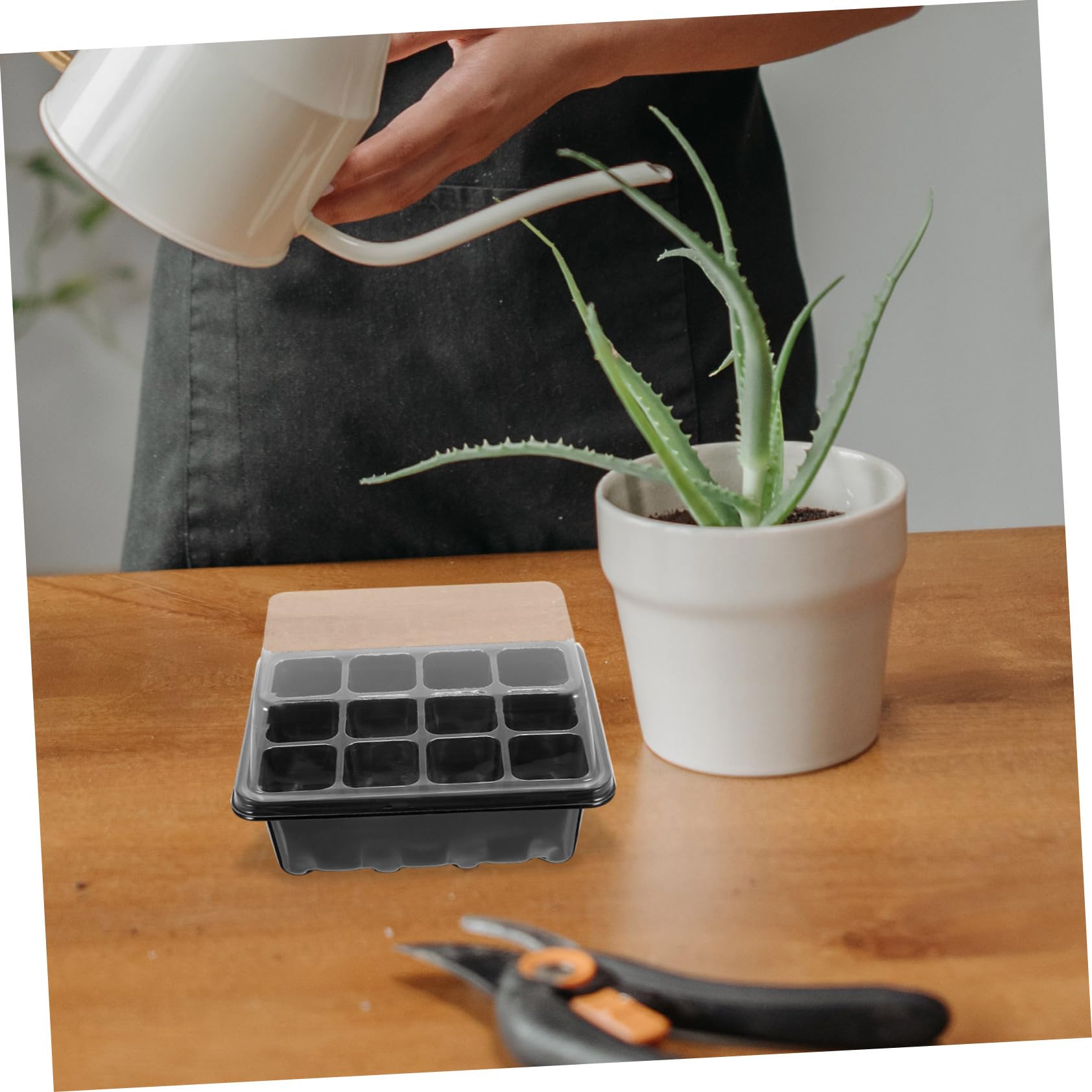 BESPORTBLE 4sets Vassoio Germinazione Per Piante Kit Starter Per Semina Con Etichette Per Giardinaggio Casa e Serra Vassoi Neri Etichette
