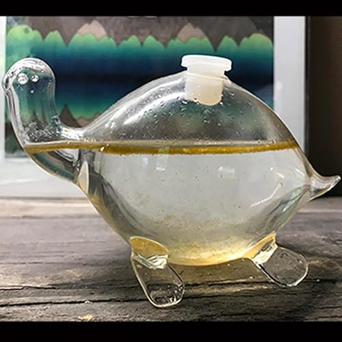 Miniatura 4 de The Living Bio-Turtle Bioluminiscente - Un microacuario de tortuga de vidrio relleno de plancton bioluminiscente brillante