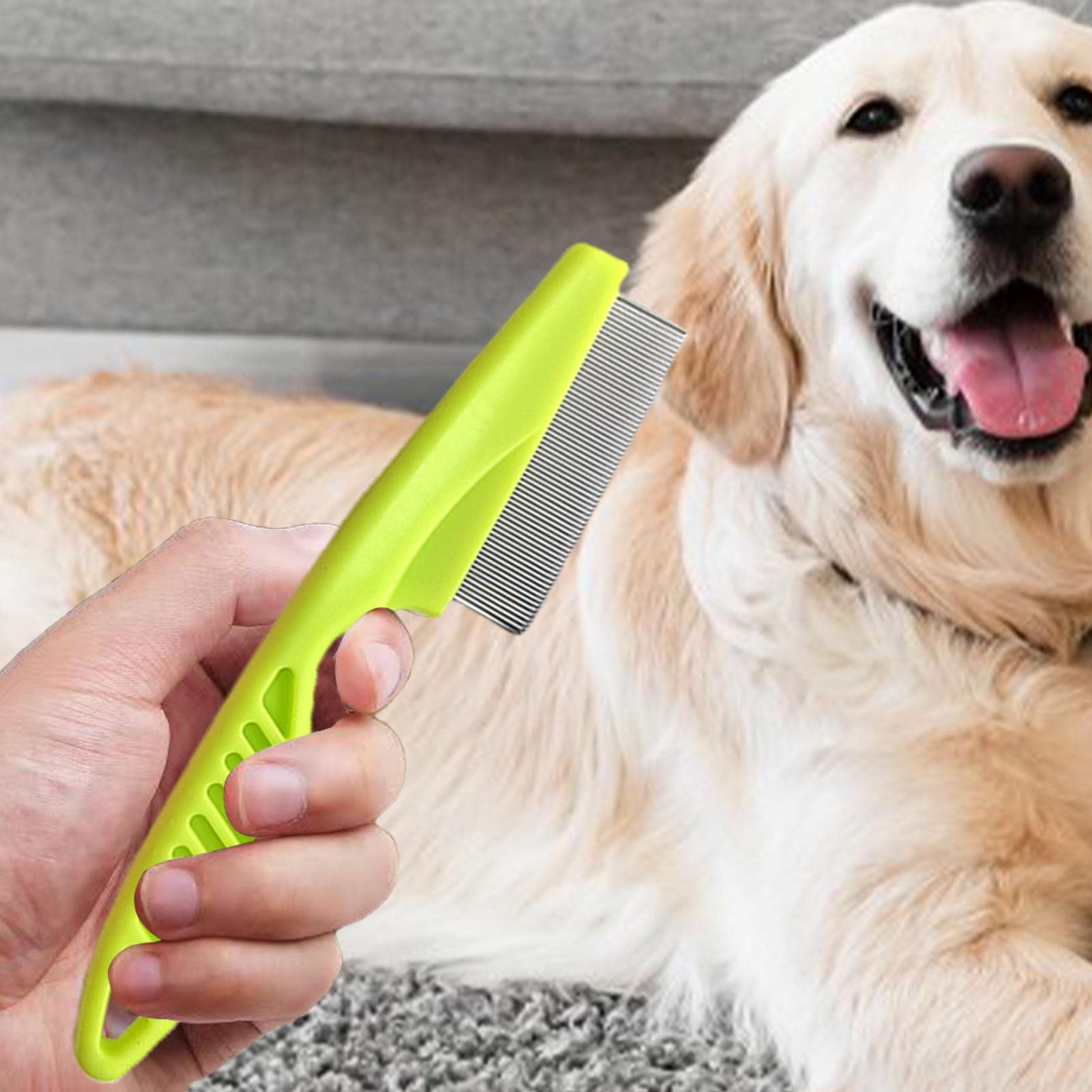 Brosse anti-puces pour chat, brosse anti-puces avec manche épaissi | Peigne pour chiots pour petits chiens, articles de toilette pour chats, accessoires pour chiens, kit toilettes pour chiens Jingan