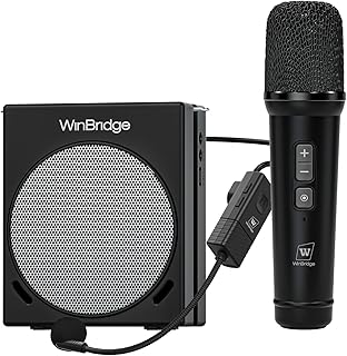 WinBridge 30W Voice Amplifier with Bluetooth Microphones, Portable PA System Wireless Handheld Headset Mic, Powerful Clear Sound BL Speaker for Teachers, Tour Guide, Singing, Home Party S91