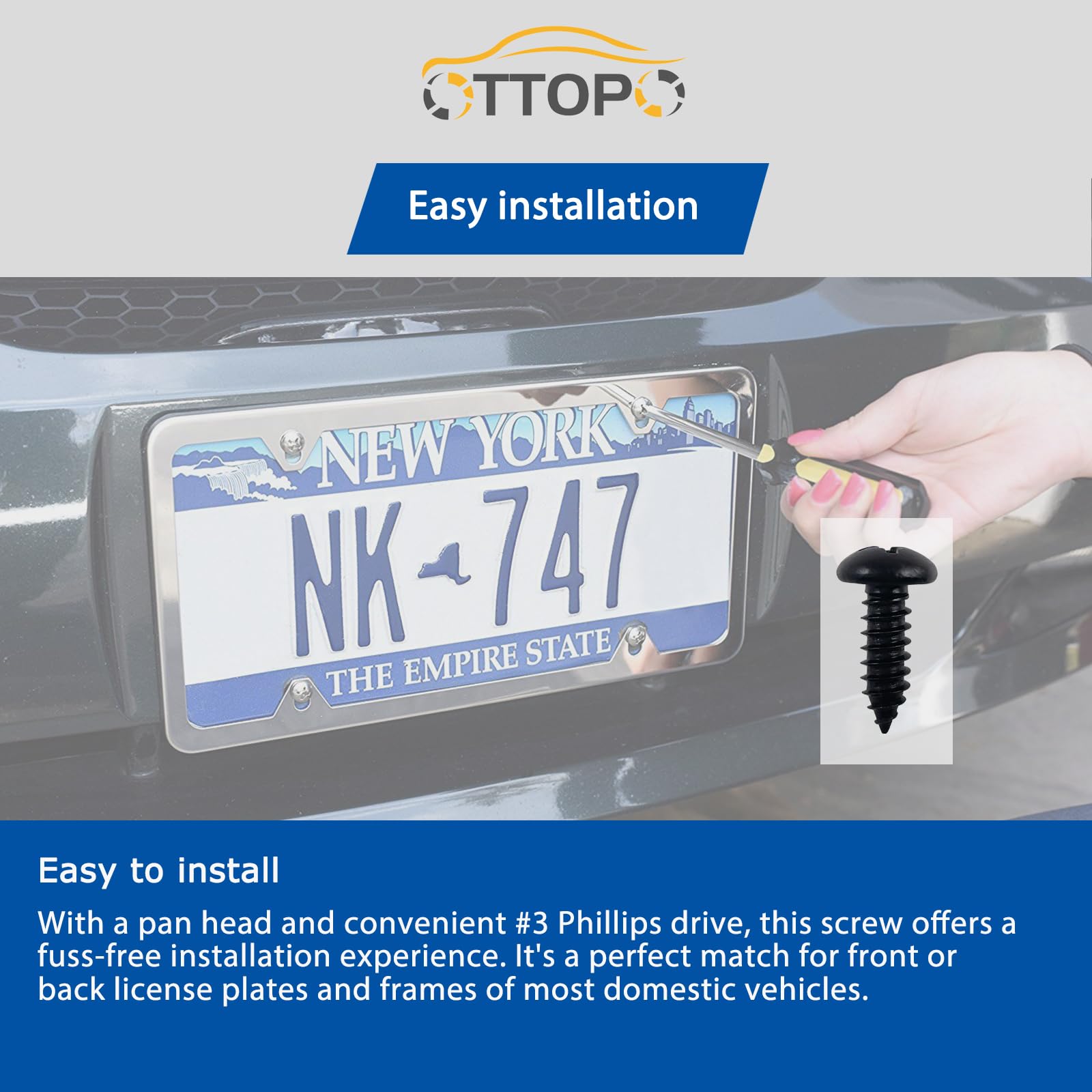 Amazon.com: OTTOPO Black License Plate Screws 18-8 Stainless