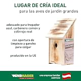 Ver la foto 7