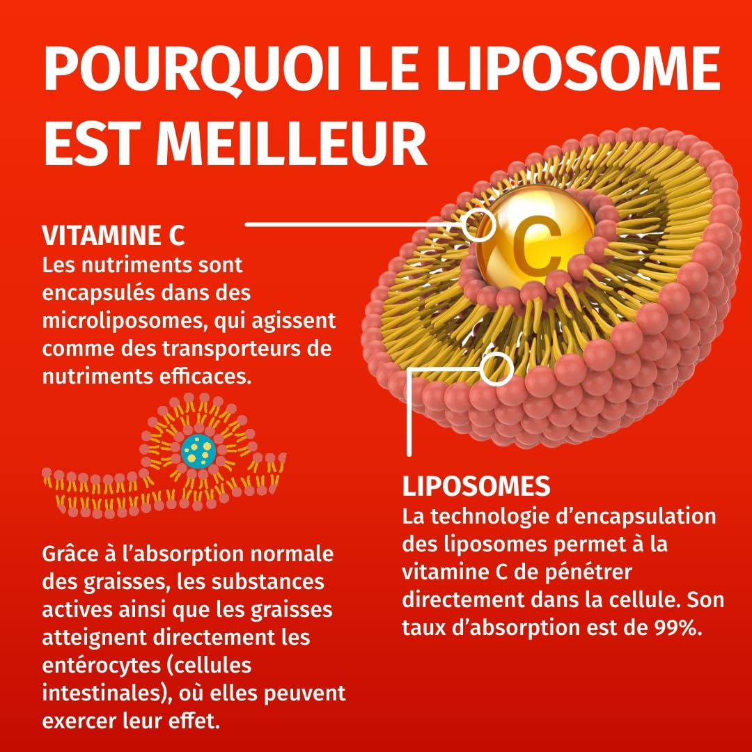 Green Naturals Vitamine C liposomale 1 250 mg – Acérola – 180 gélules | Technologie liposomale · À base d'acérola · Vegan · Cure de 3 mois