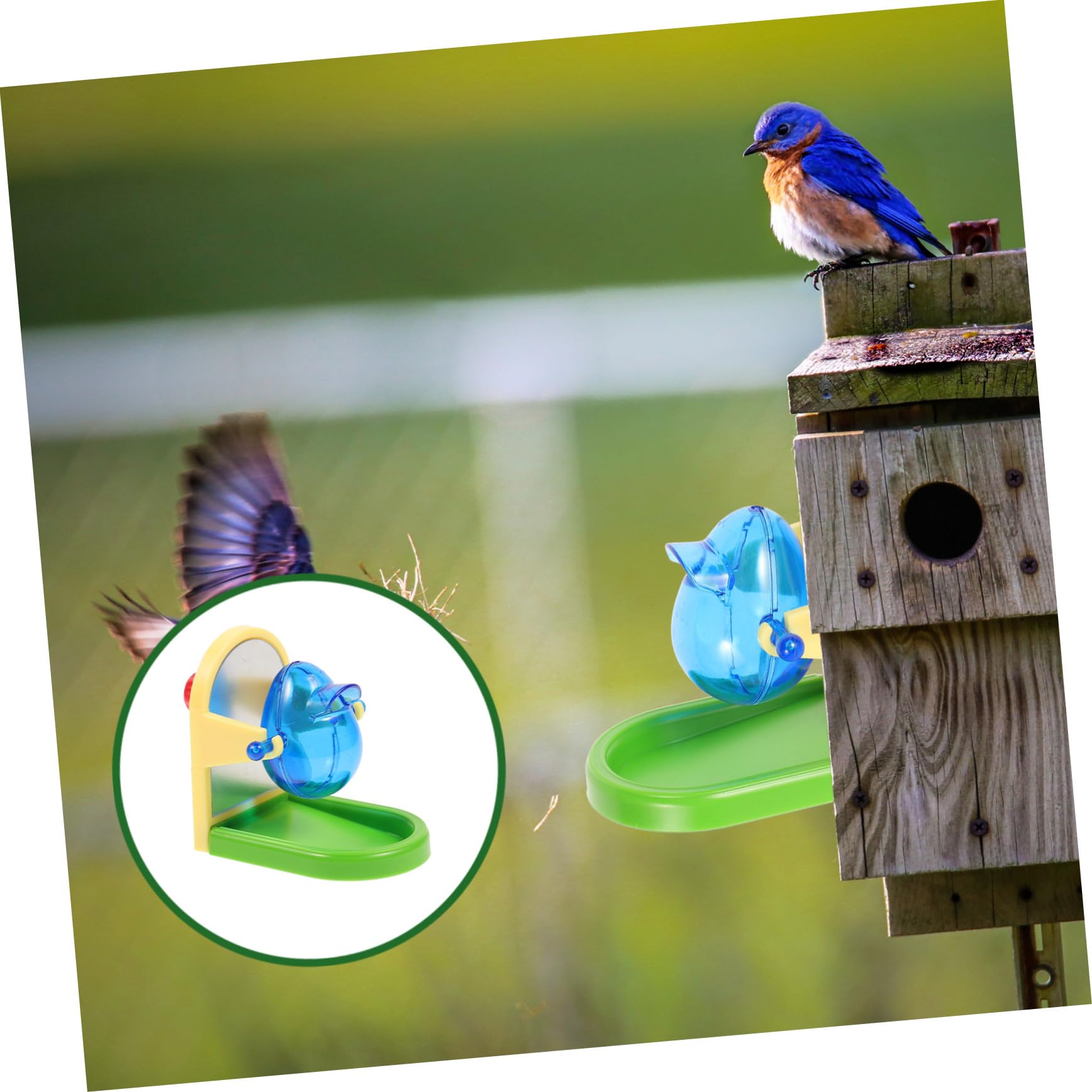 TOYANDONA Juguete para Loros Ligero de Plástico, Dispensador de Alimentos Simple para Pájaros, Entretenido y Divertido para Entrenamiento de Mascotas Color Aleatorio