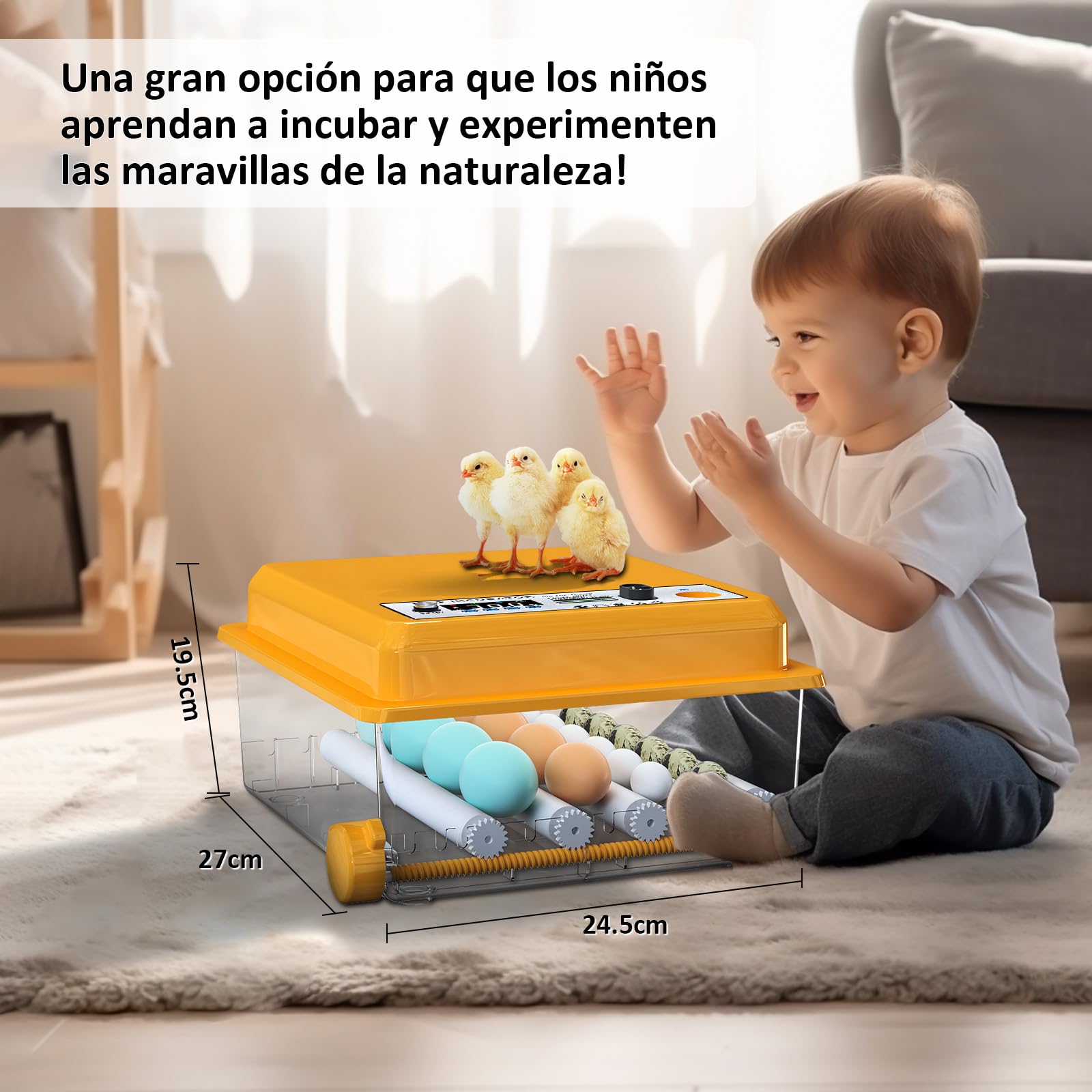 Incubadora Huevos Gallina con Control de Temperatura y Rotación Automática para 16 Huevos, Incubadora de Huevos Automática con Rodillos Ajustables y Adición Automática de Agua
