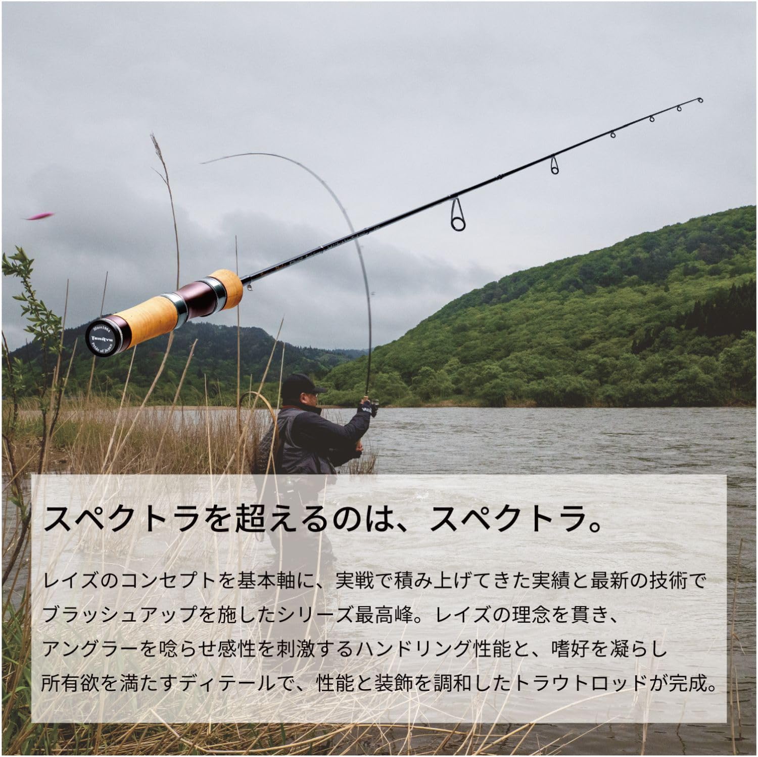 Amazon | 天龍(Tenryu) トラウトロッド レイズ スペクトラ (Rayz