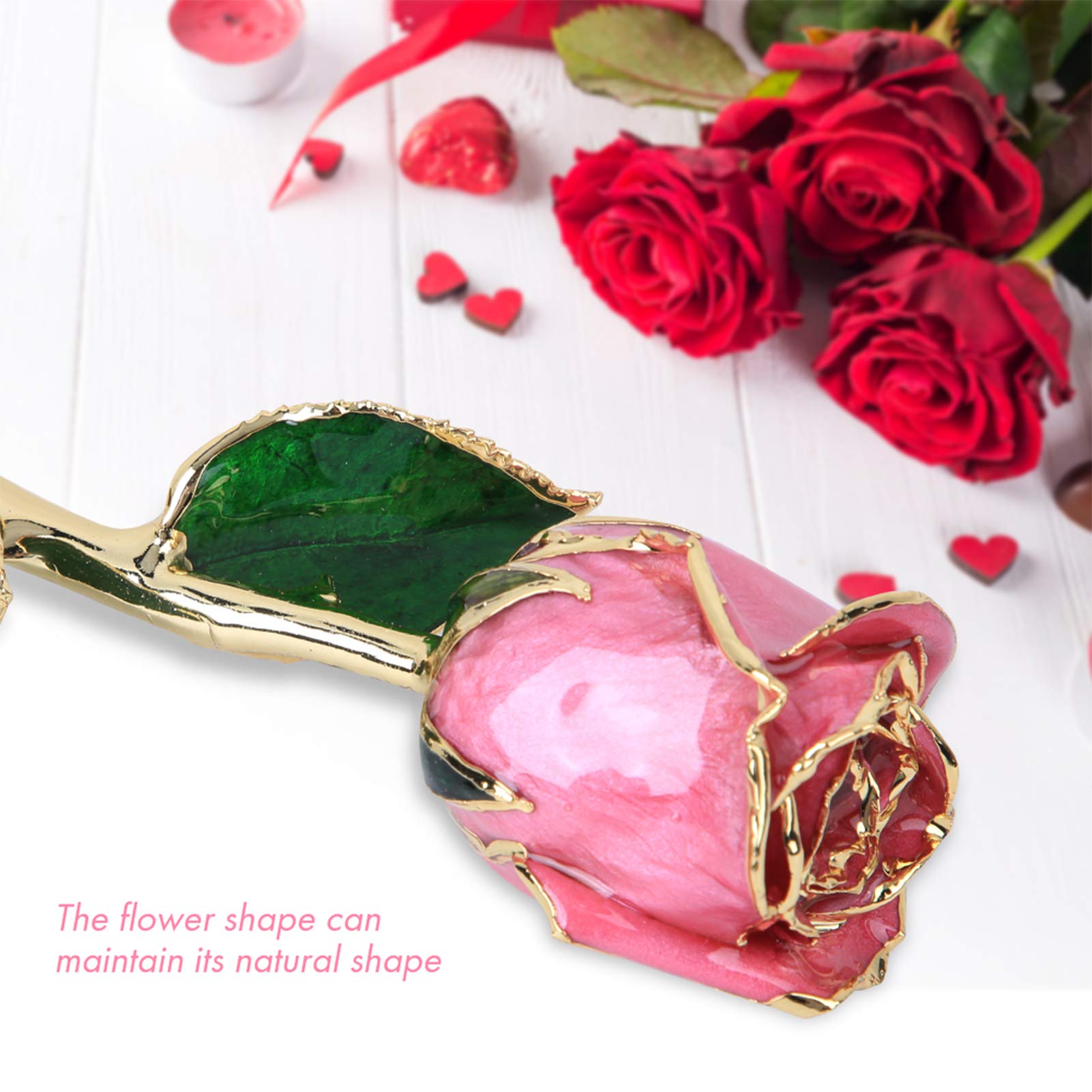 San Valentín Romántica Flor de Rosas Reales Chapada en Oro de 24 Quilates