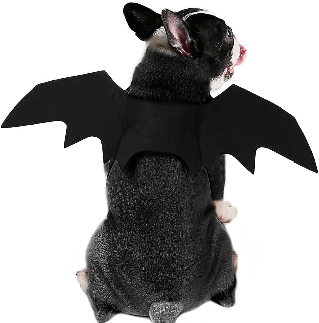 RANYPET Dog Bat Costume - Halloween Pet Costume Bat Wings Cosplay Dog Costume Cat Costume for Party S