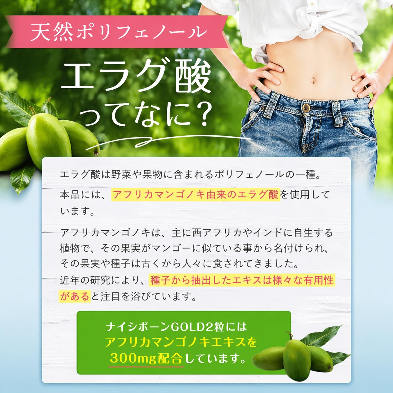 【機能性表示食品】ナイシボーンGOLD 30日分 3袋 ナイシボーンGOLD 30日分 機能性表示食品 アフリカマンゴノキ