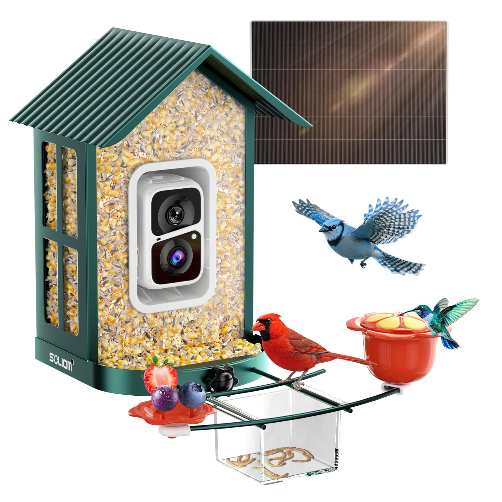 Soliom Bird Feeder with Camera Solar Powered, 2K Live Video, Squirrel Proof Metal Case, Hummingbird Suet Ball DIY Add on, Smart AI Bird Cam, Wireless Outdoor Bird Watching Gift (New BF08s,1.6L)