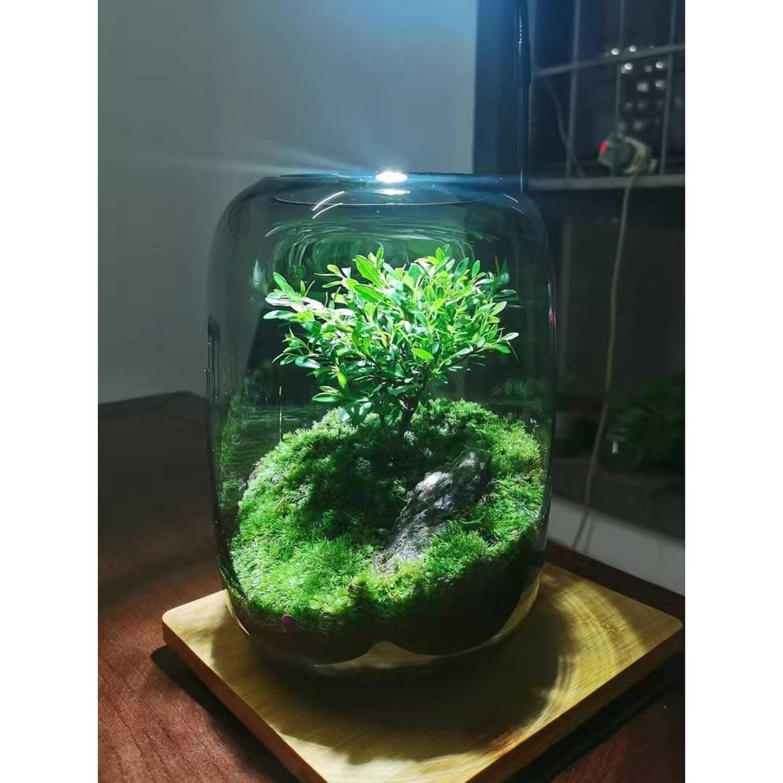 Acquario per Pesci Glass Fish Tank Transparent Gray Glass Desktop Small Fish Aquarium Living Room Glass Vase Bottle Acquari